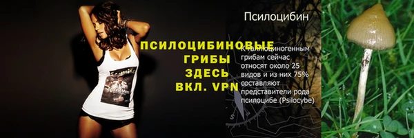 стафф Белоозёрский