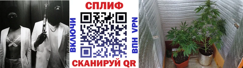 Каннабис план  OMG рабочий сайт  Афипский 